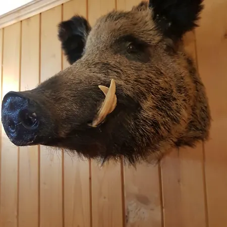 Къща За Гости Диана